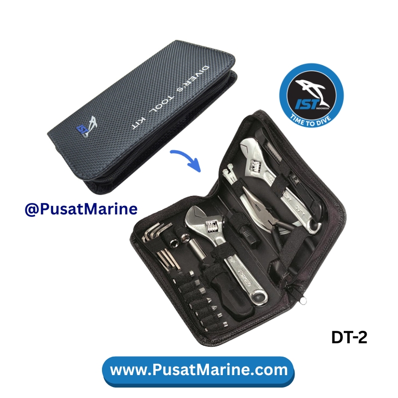 DT-2
